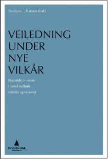 Veiledning under nye vilkår av Thorbjørn J. Karlsen (Heftet)