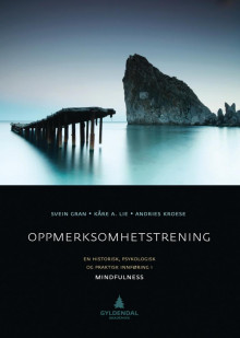 Oppmerksomhetstrening av Svein Gran, Kåre A. Lie og Andries Jan Kroese (Heftet)