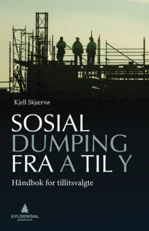 Sosial dumping fra A til Y av Kjell Skjærvø (Heftet)