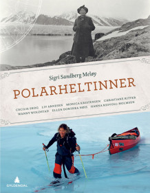 Polarheltinner av Sigri Sandberg Meløy (Innbundet)