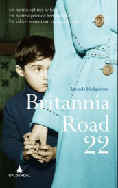 Britannia road 22 av Amanda Hodgkinson (Innbundet)