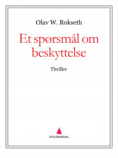Et spørsmål om beskyttelse av Olav W. Rokseth (Ebok)