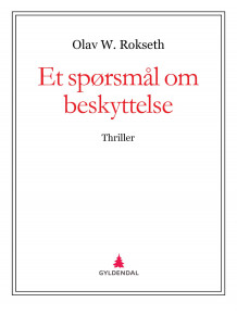 Et spørsmål om beskyttelse av Olav W. Rokseth (Ebok)
