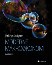 Moderne makroøkonomi av Erling Steigum (Heftet)