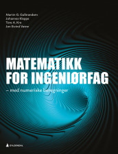 Matematikk for ingeniørfag av Martin G. Gulbrandsen, Johannes Kleppe, Tore A. Kro og Jon Eivind Vatne (Heftet)