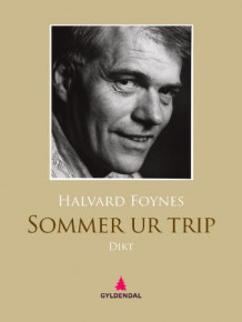 Sommer ur trip av Halvard Foynes (Ebok)