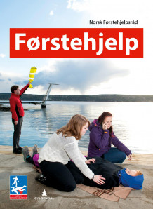 Førstehjelp av Kari Raustøl (Heftet)