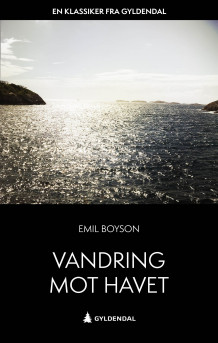 Vandring mot havet av Emil Boyson (Ebok)