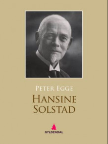 Hansine Solstad av Peter Egge (Ebok)