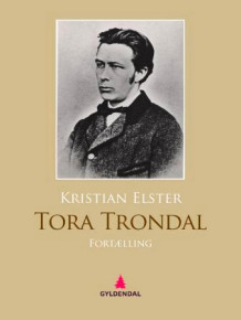 Tora Trondal av Kristian Elster (Ebok)