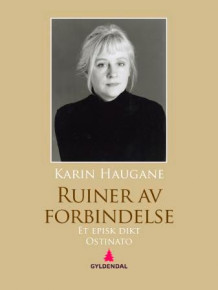 Ruiner av forbindelse av Karin Haugane (Ebok)