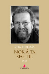 Nok å ta seg til av Stig Holmås (Ebok)