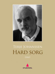 Hard sorg av Terje Johanssen (Ebok)