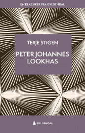 Peter Johannes Lookhas av Terje Stigen (Ebok)