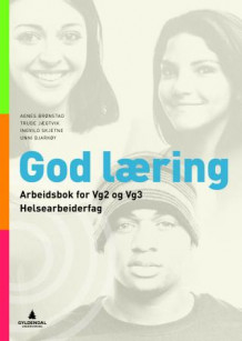 God læring av Agnes Brønstad, Ingvild Skjetne og Trude Jægtvik (Heftet)