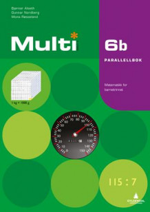Multi 6b, 2. utgave av Bjørnar Alseth, Gunnar Nordberg og Mona Røsseland (Heftet)