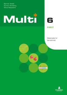 Multi 6, 2. utgave av Bjørnar Alseth, Gunnar Nordberg og Mona Røsseland (Heftet)