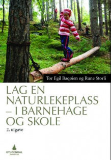 Lag en naturlekeplass av Tor Egil Bagøien og Rune Storli (Heftet)