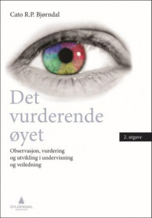 Det vurderende øyet av Cato R.P. Bjørndal (Ebok)