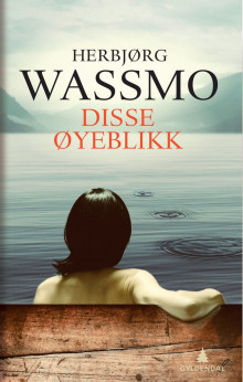 Disse øyeblikk av Herbjørg Wassmo (Innbundet)