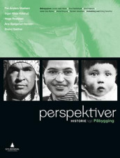 Perspektiv av Ane Bjølgerud Hansen, Inger Hilde Killerud, Per Anders Madsen, Hege Roaldset og Eivind Sæther (Heftet)