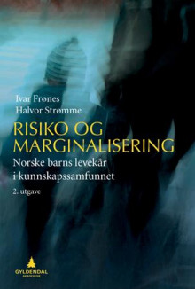 Risiko og marginalisering av Ivar Frønes og Halvor Strømme (Heftet)