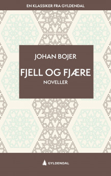 Fjell og fjære av Johan Bojer (Ebok)