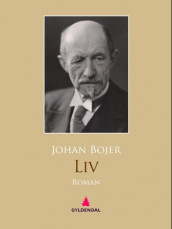 Liv av Johan Bojer (Ebok)