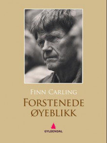Forstenede øyeblikk av Finn Carling (Ebok)