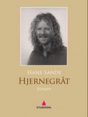 Hjernegråt av Hans Sande (Ebok)