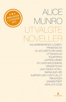 Utvalgte noveller av Trude Rønnestad og Alice Munro (Innbundet)