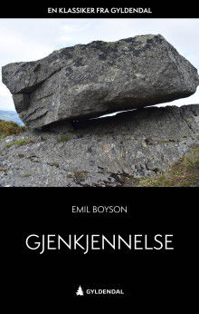 Gjenkjennelse av Emil Boyson (Ebok)