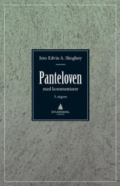 Panteloven av Jens Edvin A. Skoghøy (Ebok)