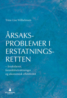 Årsaksproblemer i erstatningsretten av Trine-Lise Wilhelmsen (Ebok)