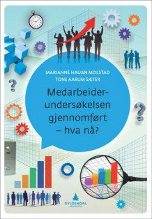 Medarbeiderundersøkelsen gjennomført - hva nå? av Marianne Hauan Molstad og Tone Aarum Sæter (Heftet)