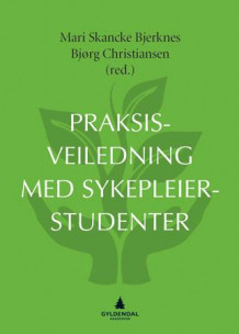 Praksisveiledning med sykepleiestudenter av Mari Skancke Bjerknes og Bjørg Christiansen (Heftet)