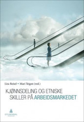 Kjønnsdeling og etniske skiller på arbeidsmarkedet av Liza Reisel og Mari Teigen (Heftet)