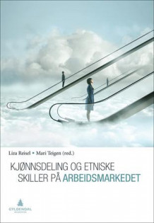 Kjønnsdeling og etniske skiller på arbeidsmarkedet av Liza Reisel og Mari Teigen (Heftet)