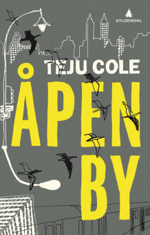 Åpen by av Teju Cole (Innbundet)