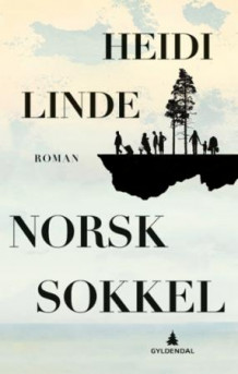 Norsk sokkel av Heidi Linde (Innbundet)