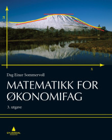 Matematikk for økonomifag av Dag Einar Sommervoll (Heftet)