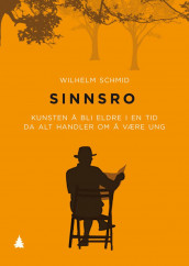 Sinnsro av Wilhelm Schmid (Innbundet)
