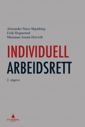 Individuell arbeidsrett av Eirik Hognestad, Marianne Jenum Hotvedt og Alexander Næss Skjønberg (Innbundet)