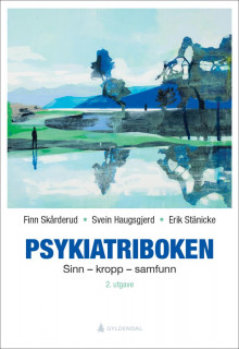 Psykiatriboken av Finn Skårderud, Svein Haugsgjerd og Erik Stänicke (Heftet)