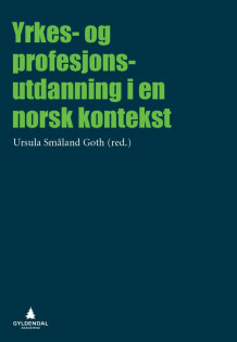 Yrkes- og profesjonsutdanning i en norsk kontekst av Ursula Småland Goth (Heftet)