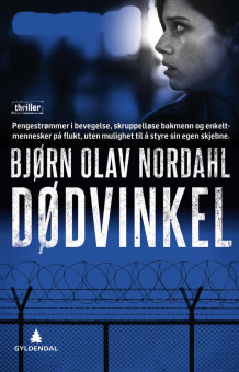 Dødvinkel av Bjørn Olav Nordahl (Innbundet)