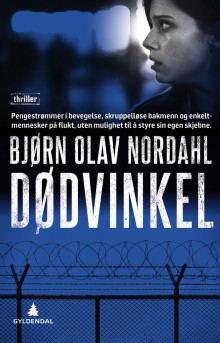 Dødvinkel av Bjørn Olav Nordahl (Ebok)