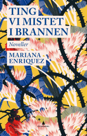 Ting vi mistet i brannen av Mariana Enriquez (Innbundet)