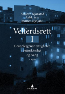 Velferdsrett I av Asbjørn Kjønstad, Aslak Syse og Morten Kjelland (Ebok)