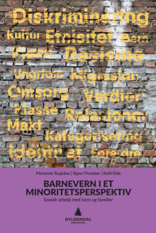 Barnevern i et minoritetsperspektiv av Marianne Rugkåsa, Signe Ylvisaker og Ketil Eide (Heftet)
